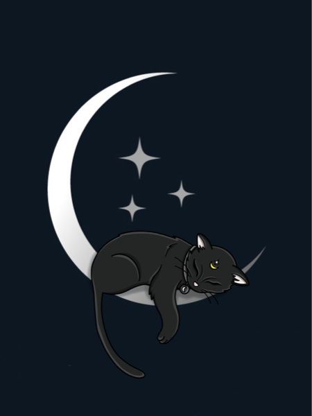 Gato negro durmiendo sobre la luna, símbolo de Insomnia Pilates